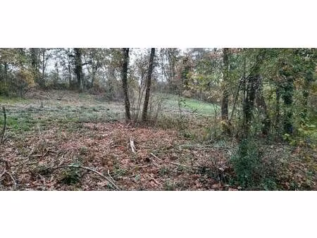 villas melrose homexpo