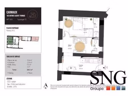 s.n.g immobilier