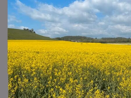 famille sérieuse recherche maison 3 chambres avec terrain urgent