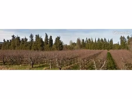 terrain 350 m² senas