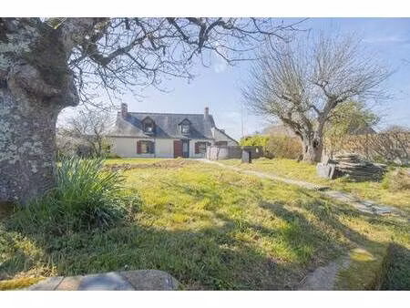 pineau immobilier - l'agence angevine