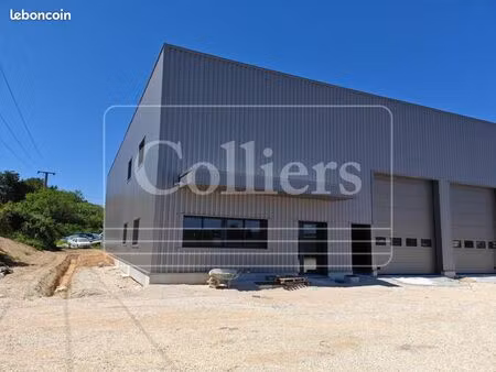 local d'activité 493 m²