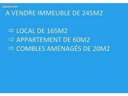 local 245 m² marseille