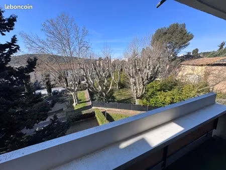 appartement t2   60 m2 (refait à neuf)avec balcon   parking   et cave