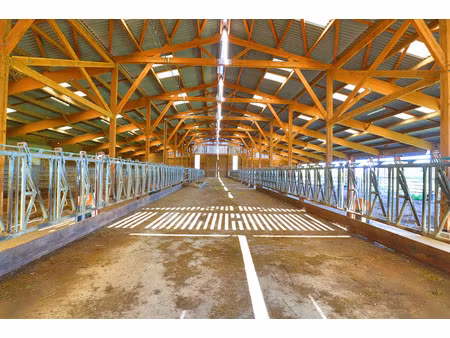 exclusif propriete agricole avec 7 hectares possible 70 hectares en location