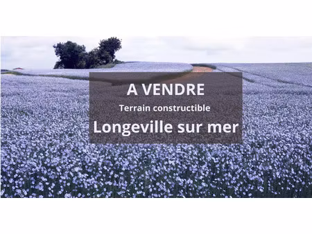vente terrain 258 m² longeville-sur-mer (85560)