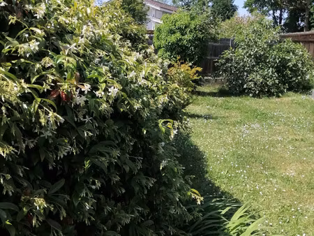 vente maison 3 pièces 60 m² andernos-les-bains (33510)