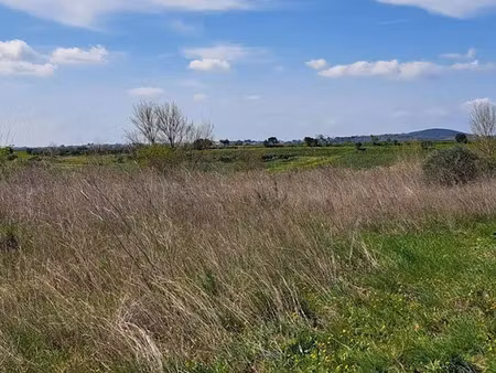vente terrain 7530 m² à caux (34720)  19 500 €