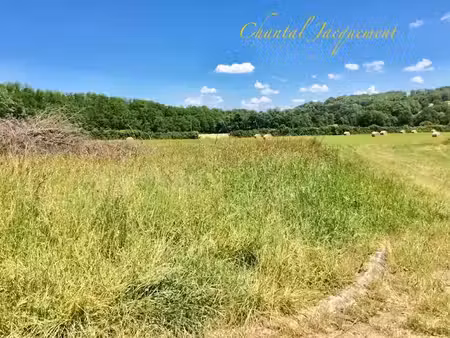 vente terrain 1631 m² à saint-jean-de-côle (24800)  33 000 €