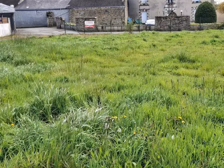 vente terrain 931 m² à louisfert (44110)  34 900 €