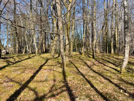 vente terrain 2300 m² à ambazac (87240)  47 000 €