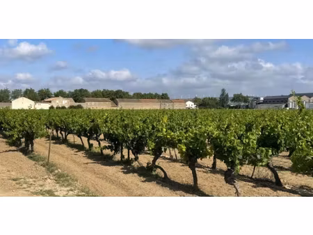 vente terrain 534 m² à canet (11200)  79 900 €