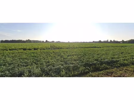 vente terrain 321 m² à râches (59194)  66 000 €