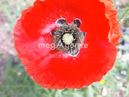terrain à batir proche des commerces