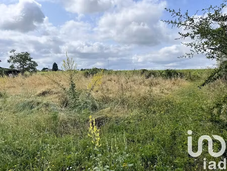 vente terrain 1331 m² à portets (33640)  132 000 €