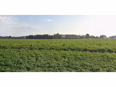 vente terrain 489 m² à râches (59194)  102 989 €