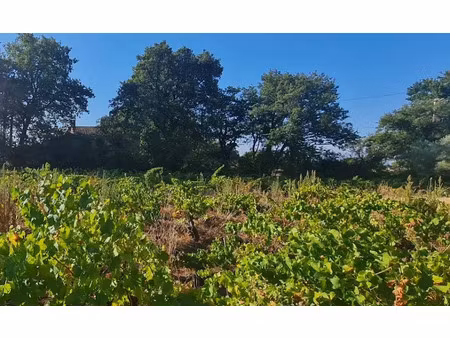 vente terrain 557 m² à sainte-cécile-les-vignes (84290)  117 000 €