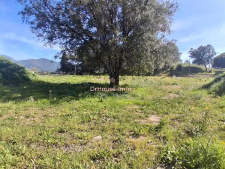 vente terrain 872 m² à bastelicaccia (20129)  180 000 €