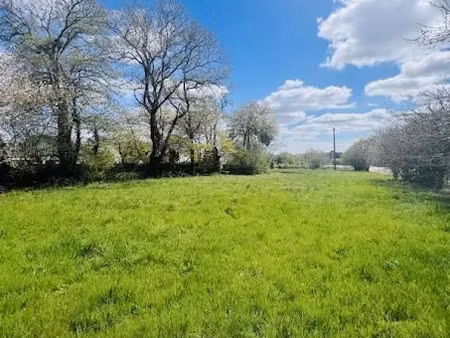 vente terrain 1323 m² à grand-champ (56390)  139 100 €