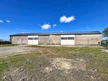 vente locaux professionnels 5 pièces 650 m² à lys-haut-layon (49310)  171 900 €