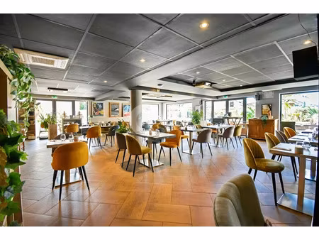 vente locaux professionnels 241 m² à mandelieu-la-napoule (06210)  250 000 €