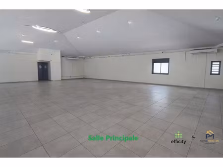 vente locaux professionnels 3 pièces 339 m² à la riviere (97421)  1 390 000 €