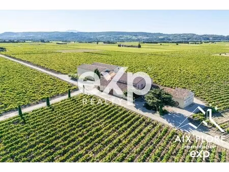 vente exceptionnelle d'un domaine viticole : cave à vin et 2 ap