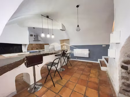 appartement 4 pièces 135m2 (loi carrez 110m2) +3 caves  touë