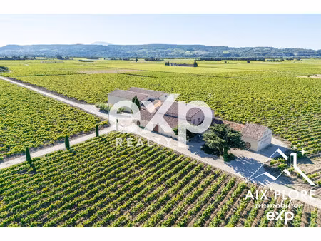 vente exceptionnelle d'un domaine viticole : cave à vin et 2 ap