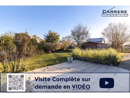 carignan de bordeaux