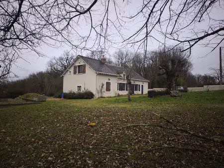 charmante maison avec grand terrain à rivarennes (36)