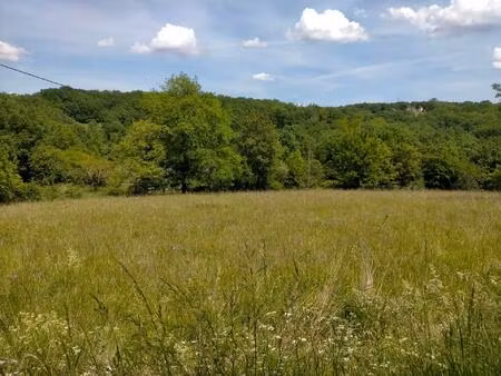 terrain constructible boisé