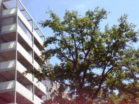 appartement à louer à genk € 1.250 (lmwk5) - axy vastgoedmanagement bv | zimmo