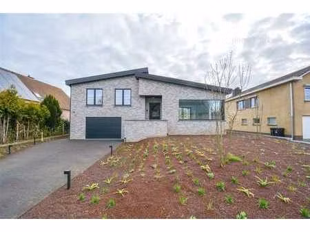 spacieuse maison rénovée avec vue imprenable à hombeek