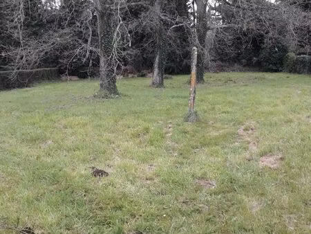 terrain constructible