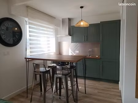 appartement f1 32 m 2 meublé à horbourg wihr