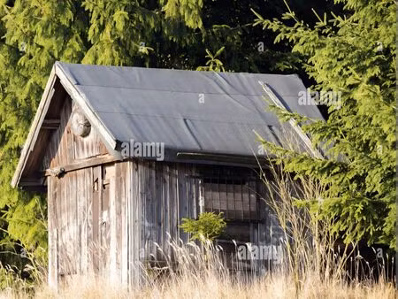 cabane de chasse