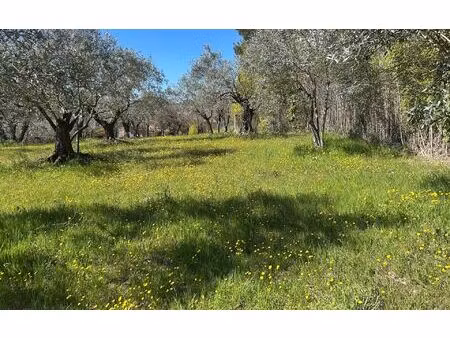 terrain entrechaux m² t- à vendre  140 000 €