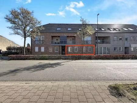 appartement à louer à peer € 895 (lmwrz) - era impact (bree) | zimmo