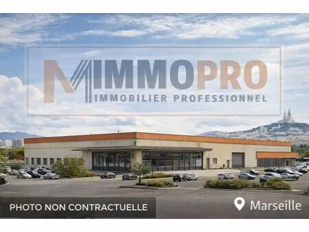 vente commerce marseille 13010 3670m²