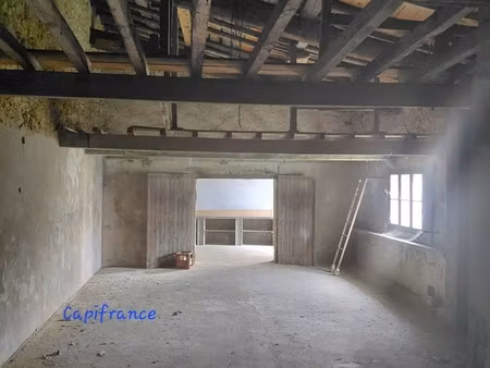 ancien chai 2 pièces à rénover : un vrai coup de cœur au calme  avec jardin