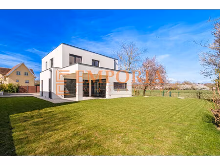 maison d'exception sur les hauteurs de pfastatt - un cadre de