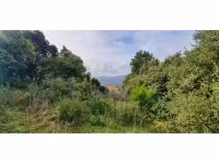 terrain à vendre petreto bicchisano 1000m2 62 532€