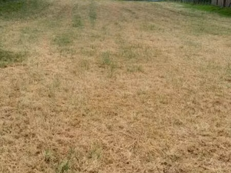 immobilier terrain constructible