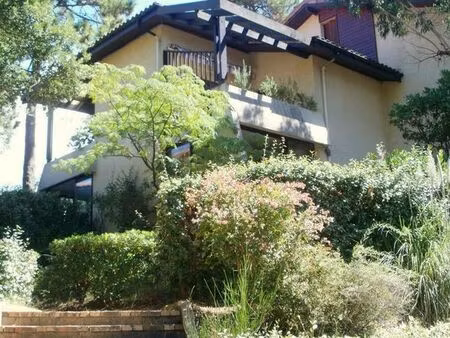 seignosse t3 sup env terrasse 500m océan