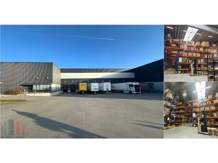 surface industrielle à louer à noordlaan 3 courtrai (rbv62840)