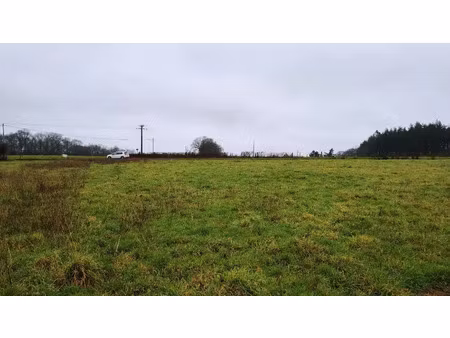 vente terrain à missillac (44780) : à vendre / 1292m² missillac