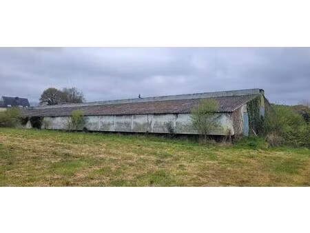 rare sur le secteur  6 hectares  2 bâtiments ( ancien poulailler et hangar en briques et c