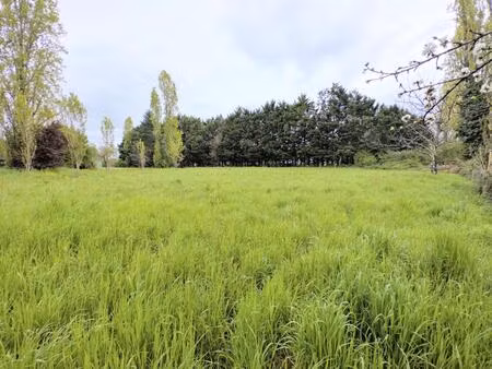 terrain constructible