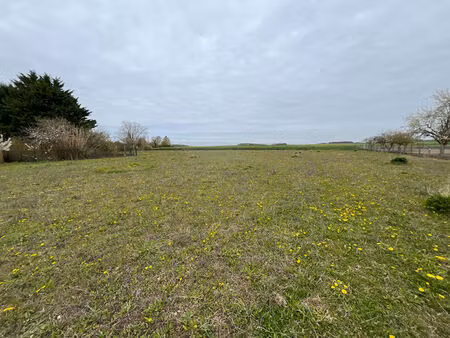 terrain beaune la rolande 1039 m2